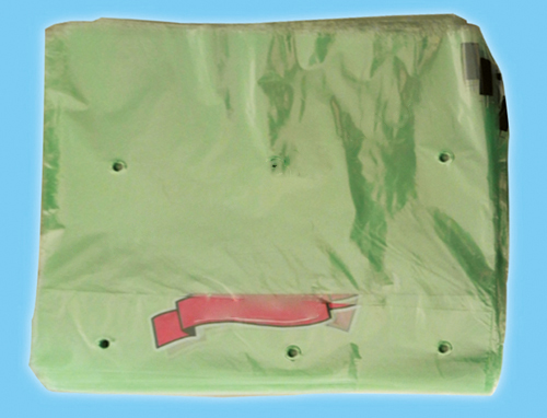 LDPE FOOD BAGS WITH HOLES